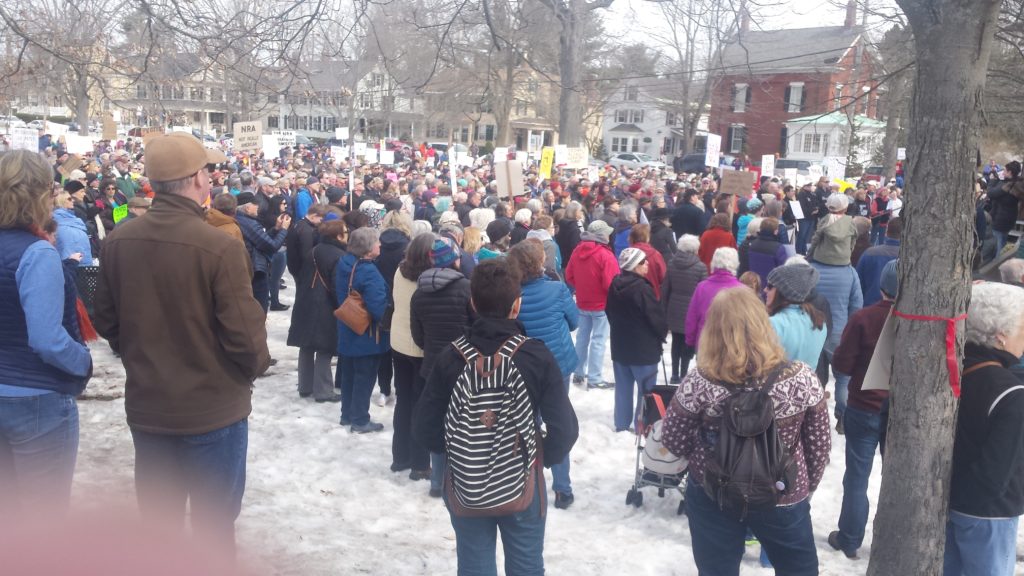 The March For Our Lives--Brunswick